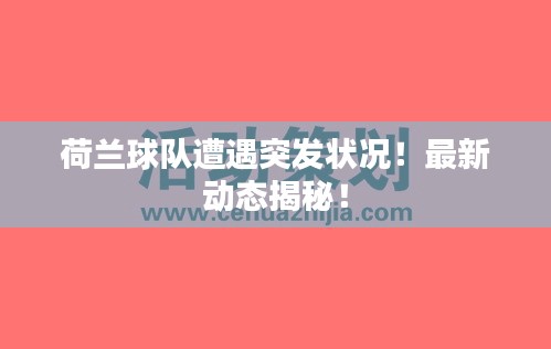 荷蘭球隊(duì)遭遇突發(fā)狀況！最新動(dòng)態(tài)揭秘！