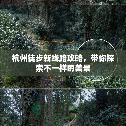 杭州徒步新線路攻略，帶你探索不一樣的美景