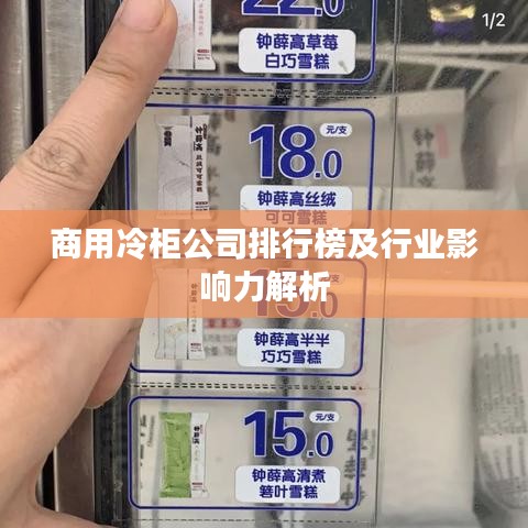商用冷柜公司排行榜及行業(yè)影響力解析