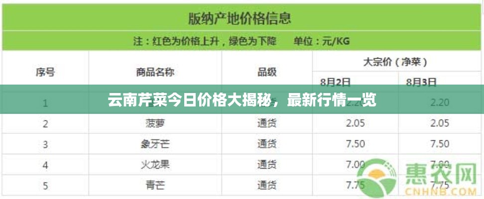 云南芹菜今日價格大揭秘，最新行情一覽