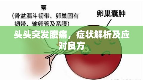 頭頭突發(fā)腹痛，癥狀解析及應(yīng)對(duì)良方