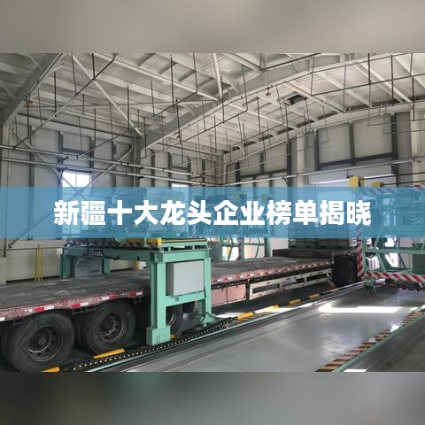 新疆十大龍頭企業(yè)榜單揭曉