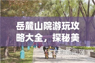 岳麓山院游玩攻略大全，探秘美景，盡享愜意時(shí)光！