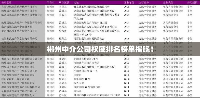 郴州中介公司權(quán)威排名榜單揭曉！