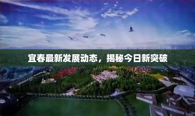 宜春最新發(fā)展動態(tài)，揭秘今日新突破