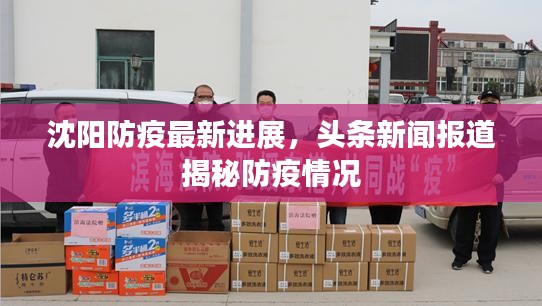 沈陽防疫最新進(jìn)展，頭條新聞報道揭秘防疫情況