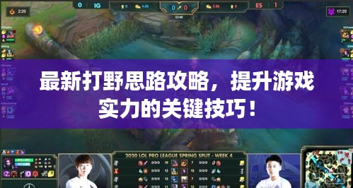 最新打野思路攻略，提升游戲?qū)嵙Φ年P(guān)鍵技巧！