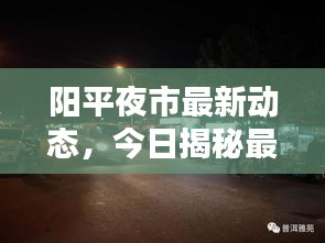 陽平夜市最新動態(tài)，今日揭秘最新消息！