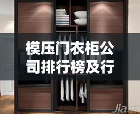 模壓門衣柜公司排行榜及行業(yè)深度分析