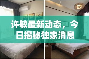 許敏最新動態(tài)，今日揭秘獨(dú)家消息！