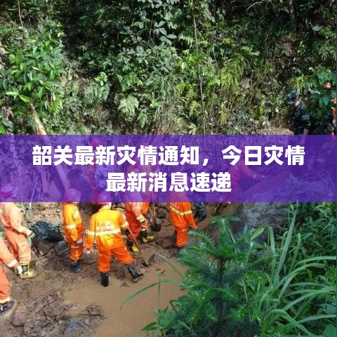 韶關最新災情通知，今日災情最新消息速遞
