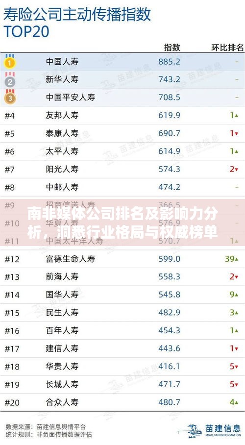 南非媒體公司排名及影響力分析，洞悉行業(yè)格局與權(quán)威榜單