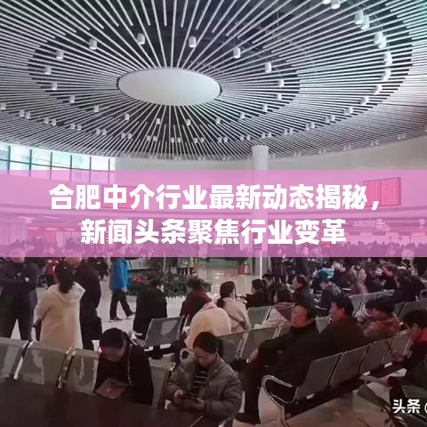 合肥中介行業(yè)最新動態(tài)揭秘，新聞頭條聚焦行業(yè)變革