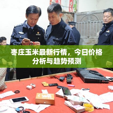 棗莊玉米最新行情，今日價(jià)格分析與趨勢(shì)預(yù)測(cè)