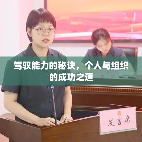 駕馭能力的秘訣，個(gè)人與組織的成功之道