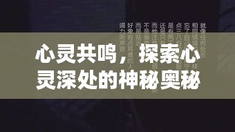 心靈共鳴，探索心靈深處的神秘奧秘