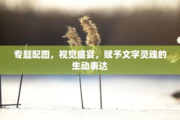 專題配圖，視覺盛宴，賦予文字靈魂的生動表達