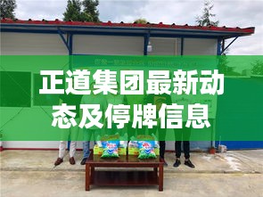 正道集團(tuán)最新動態(tài)及停牌信息解析
