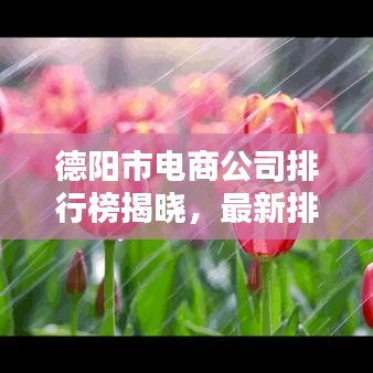 德陽市電商公司排行榜揭曉，最新排名，優(yōu)質企業(yè)一網打盡！
