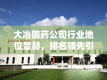 大冶國(guó)藥公司行業(yè)地位顯赫，排名領(lǐng)先引關(guān)注