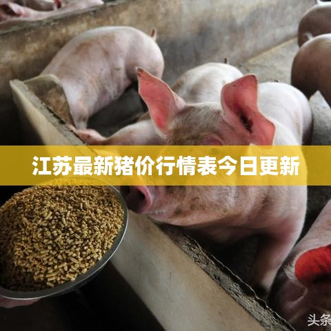 江蘇最新豬價行情表今日更新