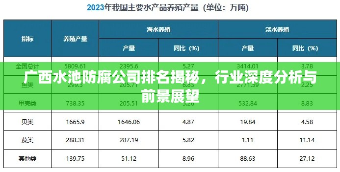 廣西水池防腐公司排名揭秘，行業(yè)深度分析與前景展望