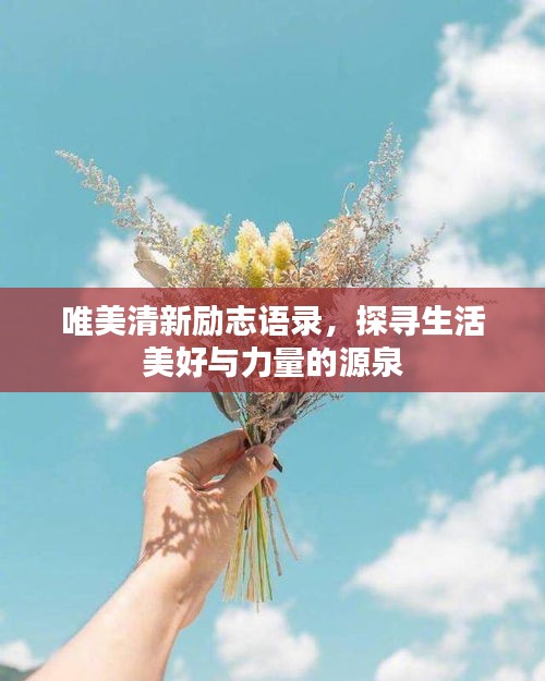 唯美清新勵志語錄，探尋生活美好與力量的源泉