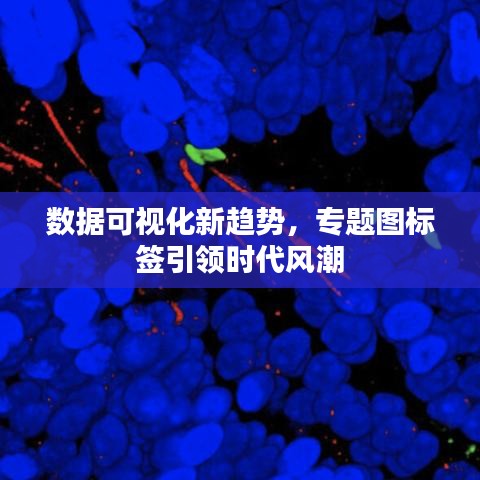 數(shù)據(jù)可視化新趨勢，專題圖標簽引領(lǐng)時代風(fēng)潮