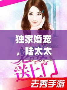 獨家婚寵，陸太太的甜蜜寵溺
