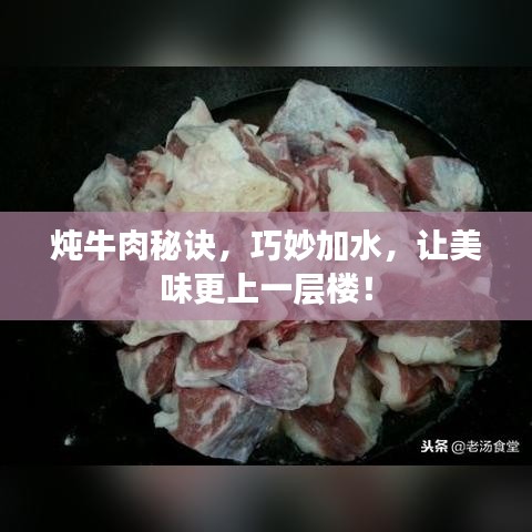 燉牛肉秘訣，巧妙加水，讓美味更上一層樓！
