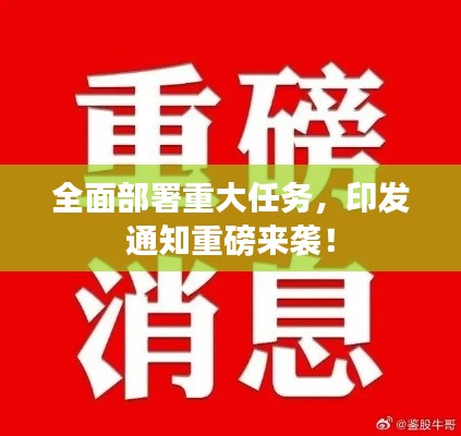 全面部署重大任務(wù)，印發(fā)通知重磅來(lái)襲！