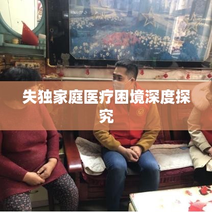 失獨家庭醫(yī)療困境深度探究
