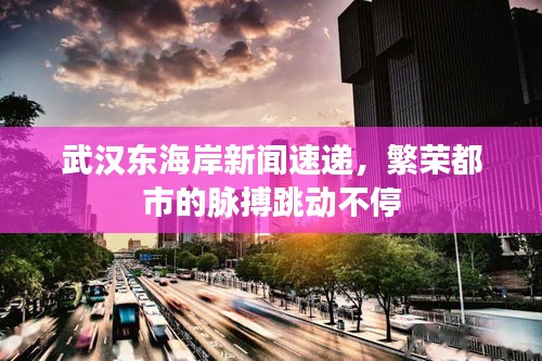 武漢東海岸新聞速遞，繁榮都市的脈搏跳動(dòng)不停
