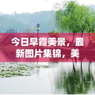 今日早霞美景，最新圖片集錦，美不勝收
