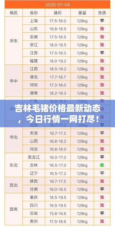 吉林毛豬價(jià)格最新動態(tài)，今日行情一網(wǎng)打盡！