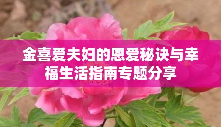金喜愛夫婦的恩愛秘訣與幸福生活指南專題分享