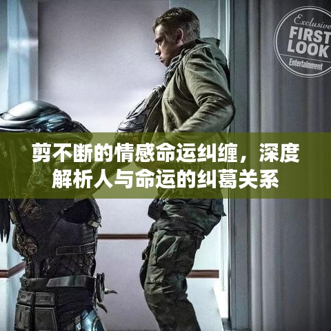 剪不斷的情感命運(yùn)糾纏，深度解析人與命運(yùn)的糾葛關(guān)系