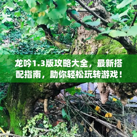 龍吟1.3版攻略大全，最新搭配指南，助你輕松玩轉(zhuǎn)游戲！
