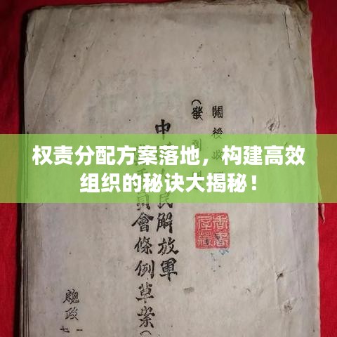 權(quán)責(zé)分配方案落地，構(gòu)建高效組織的秘訣大揭秘！