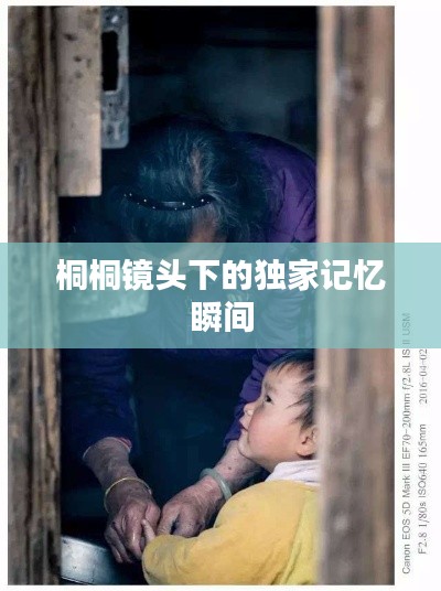 桐桐鏡頭下的獨(dú)家記憶瞬間