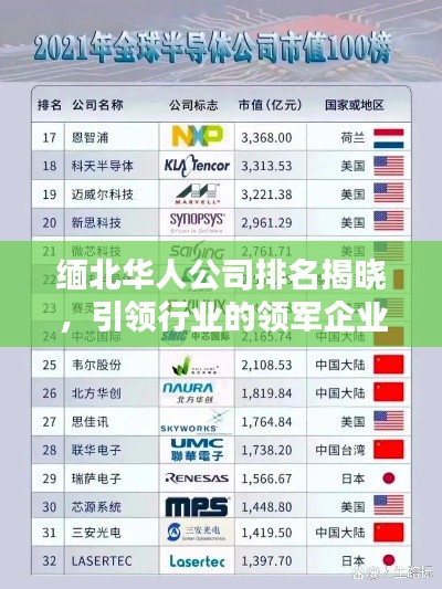 緬北華人公司排名揭曉，引領行業(yè)的領軍企業(yè)榜單