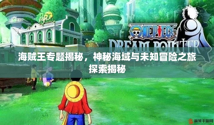 海賊王專題揭秘，神秘海域與未知冒險(xiǎn)之旅探索揭秘
