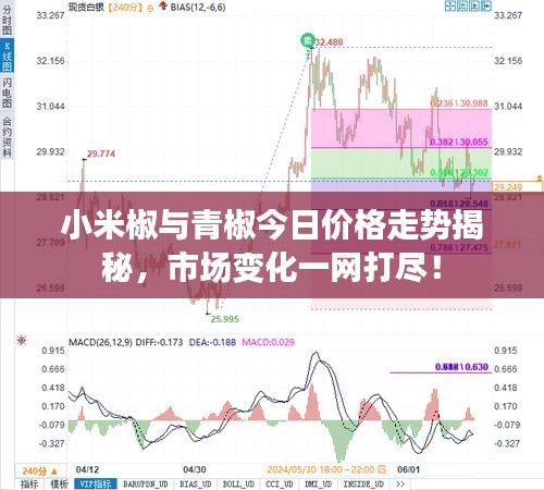 小米椒與青椒今日價格走勢揭秘，市場變化一網(wǎng)打盡！