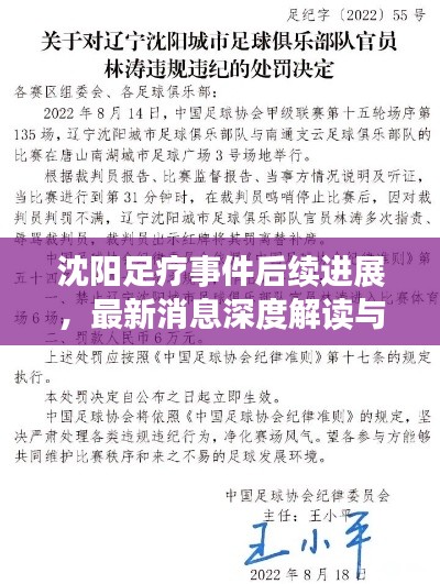 沈陽足療事件后續(xù)進展，最新消息深度解讀與觀察