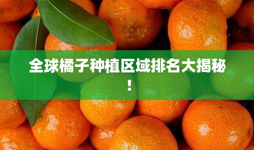 全球橘子種植區(qū)域排名大揭秘！