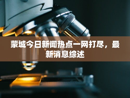 蒙城今日新聞熱點(diǎn)一網(wǎng)打盡，最新消息綜述