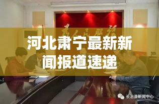 河北肅寧最新新聞報(bào)道速遞