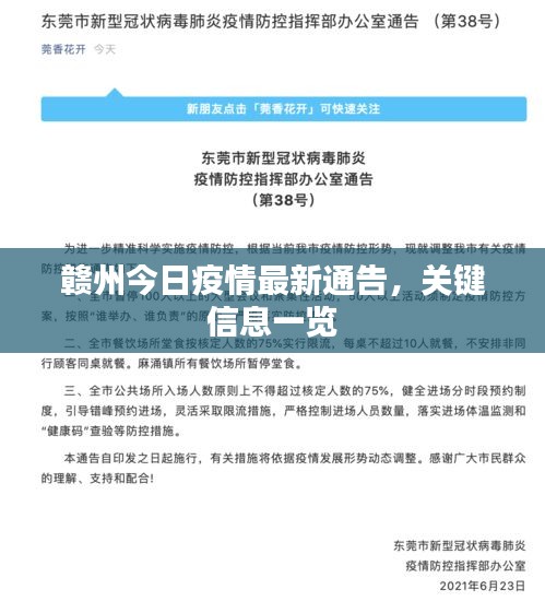 贛州今日疫情最新通告，關(guān)鍵信息一覽
