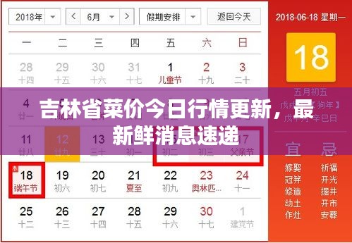 吉林省菜價今日行情更新，最新鮮消息速遞