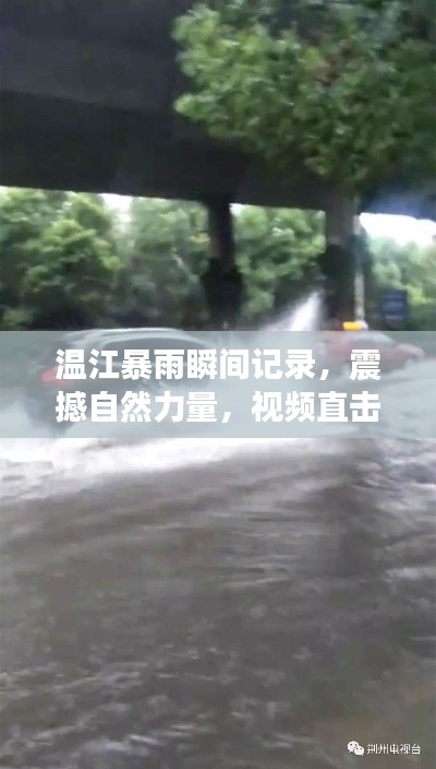 溫江暴雨瞬間記錄，震撼自然力量，視頻直擊！